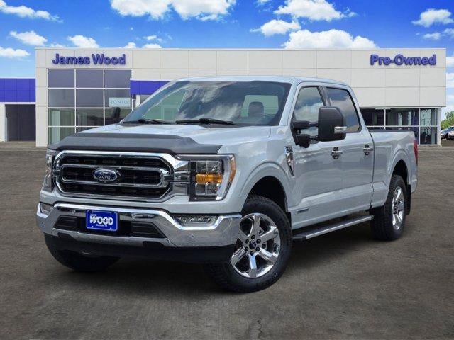2023 Ford F-150 XLT in Gray — front three-quarter view